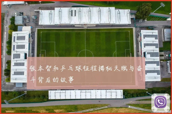 张本智和乒乓球征程揭秘天赋与奋斗背后的故事
