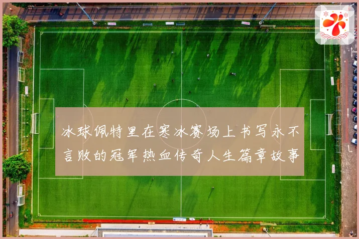 冰球佩特里在寒冰赛场上书写永不言败的冠军热血传奇人生篇章故事成长观察