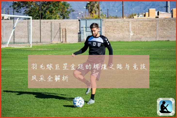 羽毛球巨星金廷的辉煌之路与竞技风采全解析