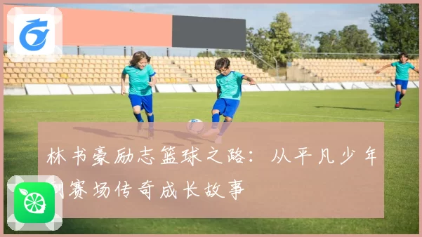 林书豪励志篮球之路：从平凡少年到赛场传奇成长故事